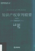 知识产权审判精要 第2版