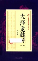 民国武侠小说典藏文库 大泽龙蛇传 上