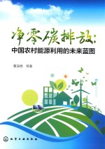 净零碳排放 中国农村能源利用的未来蓝图