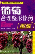 果树合理整形修剪图解系列 葡萄合理整形修剪图解