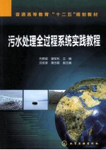 污水处理全过程系统实践教程