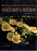 中国甘肃野生观赏植物