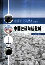 中国芒硝与硫化碱