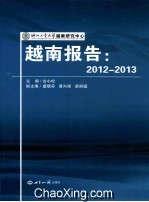 越南报告 2012-2013