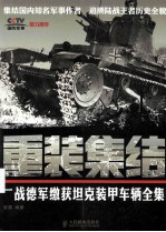 重装集结 二战德军缴获坦克装甲车辆全集