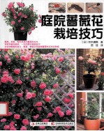 庭院蔷薇花栽培技巧