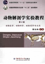 动物解剖学实验教程 第2版