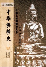 中华佛教史 云南上座部佛教史卷