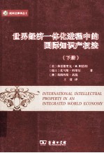 世界经济一体化进程中的国际知识产权法 下