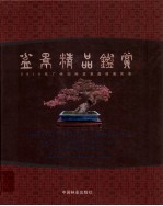 盆景精品鉴赏 2010年广州国际盆景邀请展实录