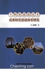生物质能源技术成果转化促进体系研究