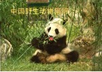 中国野生动物集锦 1