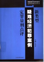 新类型疑难经济犯罪案例定罪量刑点评