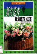 新奇花卉栽培技巧300答