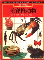无脊椎动物 变形虫·贝类·珊瑚·昆虫·海星……