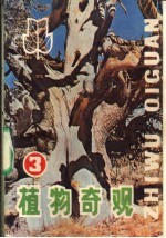 植物奇观 3