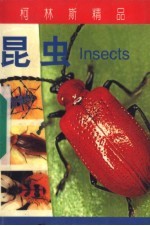 昆虫