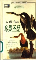 鸟类圣经 世界最伟大的鸟类图谱珍藏