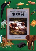 自然科学探索 生物链
