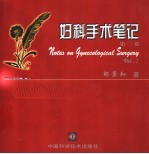 妇科手术笔记 第2卷