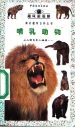 哺乳动物
