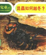儿童自然生活百科 27 昆虫如何越冬？