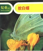 儿童自然生活百科 18 纹白蝶