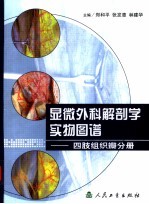 显微外科解剖学实物图谱 四肢组织瓣分册
