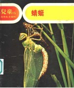 儿童自然生活百科 15 蜻蜓
