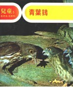 儿童自然生活百科 5 生活在森林中的青叶鸮
