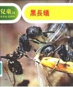 儿童自然生活百科 24 黑长蚁