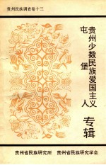 贵州民族调查 30 贵州少数民族爱国主义屯堡人专辑