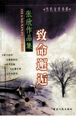张欣作品集 致命邂逅