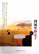 到城里种麦子
