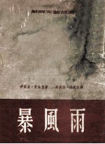 苏联文艺丛书 暴风雨 上
