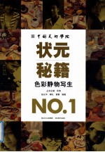 中国美术学院状元秘籍 色彩静物写生