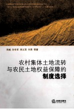 农村集体土地流转与农民土地权益保障的制度选择