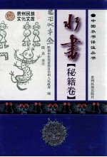 水书秘籍卷:汉文、水文