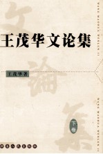 王茂华文论集 下