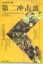 第二冲击波 从东南亚金融风暴到全球经济大变局