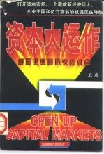 资本大运作 中国企业的历史性机会