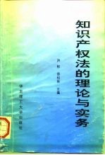 知识产权法的理论与实务
