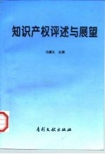 知识产权评述与展望