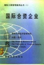 国际合资企业