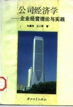 公司经济学 企业经营理论与实践