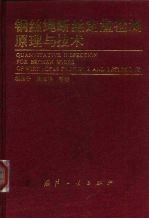 钢丝绳断丝定量检测原理与技术