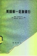 美国第一花旗银行 拉尔夫·纳德调查组报告