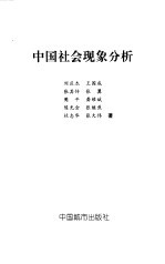 中国社会现象分析