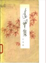 远望集
