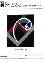 Sybase数据库系统基础知识